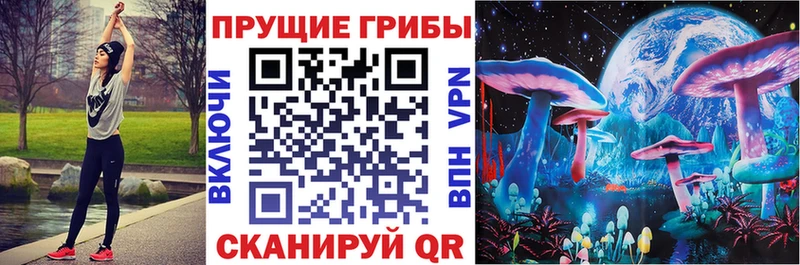 Псилоцибиновые грибы мухоморы  kraken вход  Дмитровск 