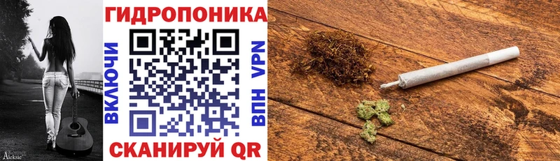 Марихуана сатива  Дмитровск 
